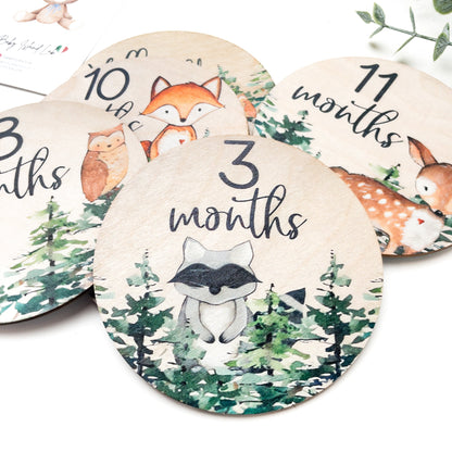 set pietre miliari per crescita neonati con animali, alberi e foglie in lingua inglese da hello world ad un anno di età